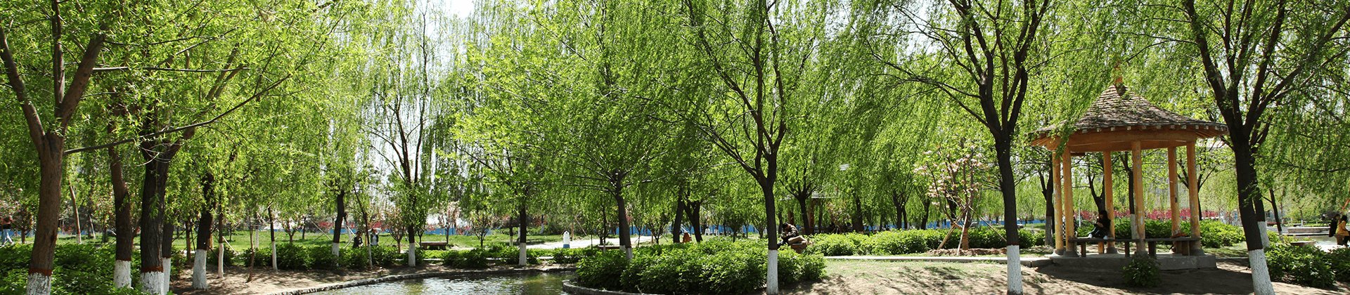半岛电子官网操作说明举办2023届毕