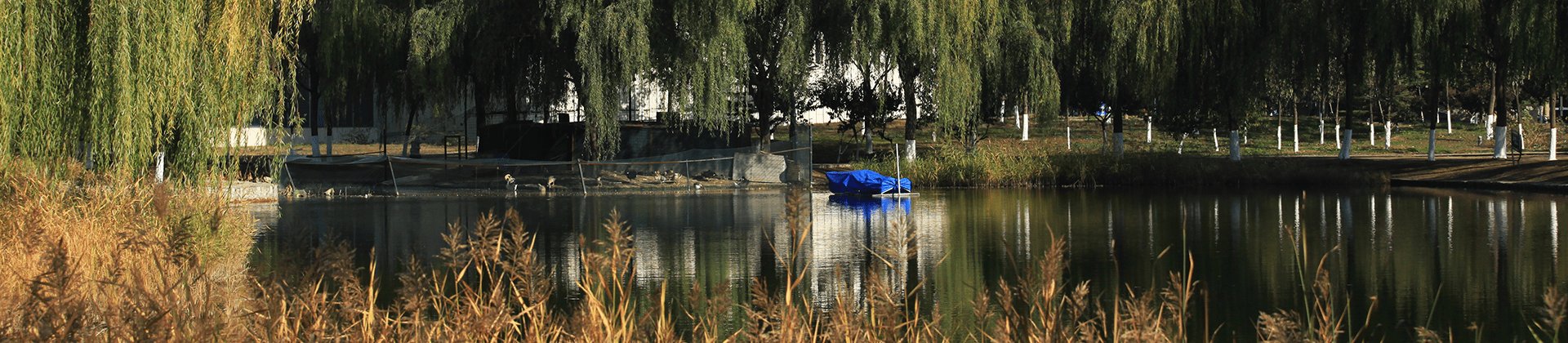 jyxx / 首页