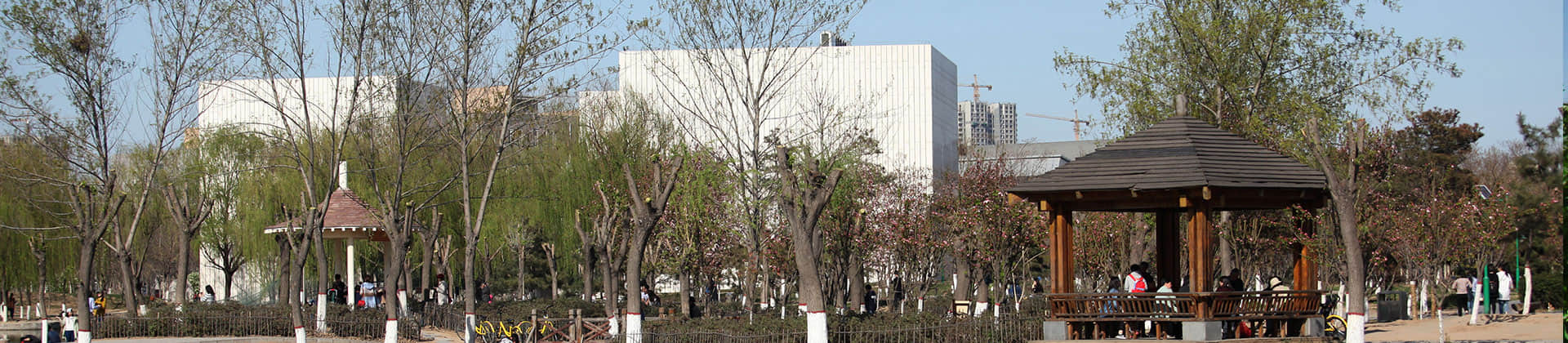 正文适合核对表述
