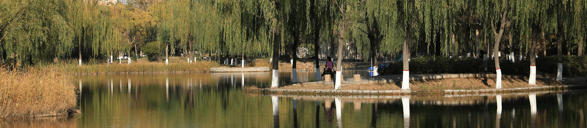 半岛电子官方网站安全访问举办青年马克