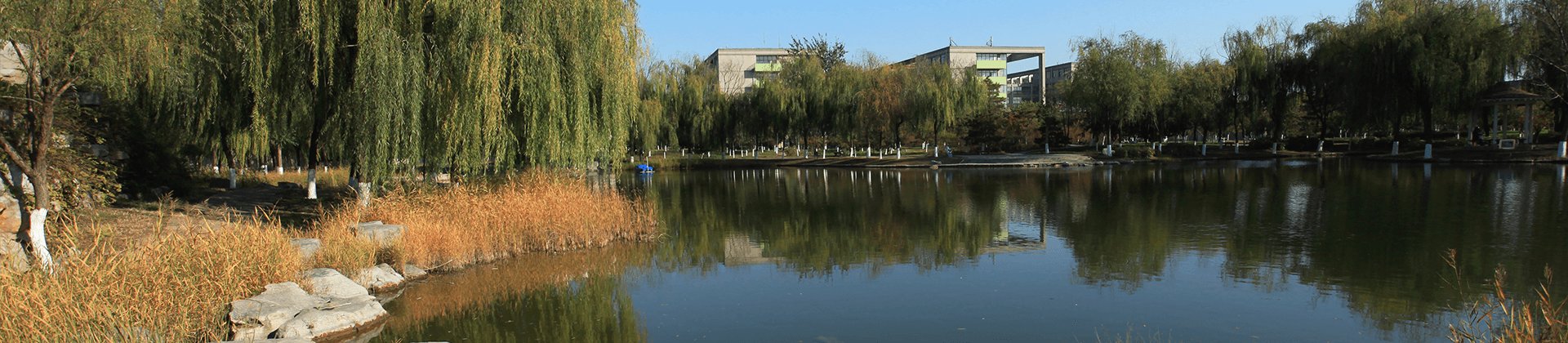 欧联杯官方合作伙伴半岛电子官方网站官